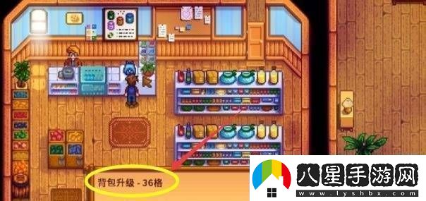 星露谷物語(yǔ)背包擴大方法有哪些