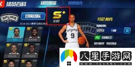 NBA籃球大師球員培養策略