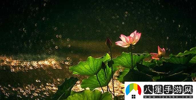 女性半夜蓮花開(kāi)