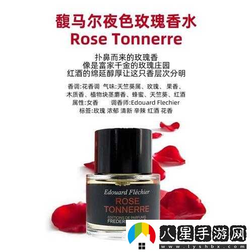 無(wú)人區玫瑰與夜色玫瑰的區別
