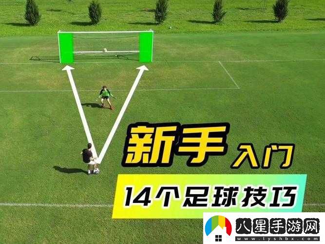 勝利足球新手入門(mén)指南及建議