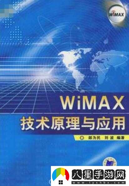 VIDEOCODECWMVIDEODECODER 技術(shù)原理與應用