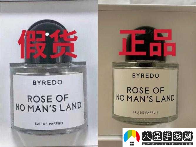 無(wú)人區玫瑰與夜色玫瑰區別解析