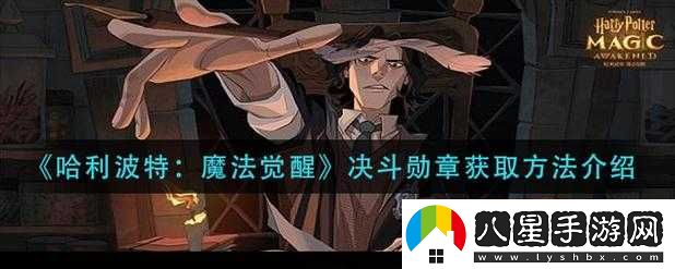 哈利波特魔法覺(jué)醒決斗勛章使用方法是什么
