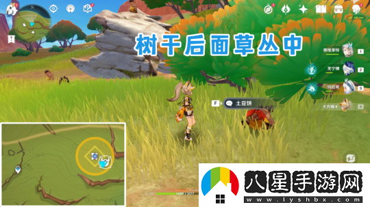 觀(guān)測樞