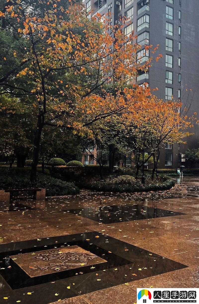濕漉漉的像是剛下過(guò)雨