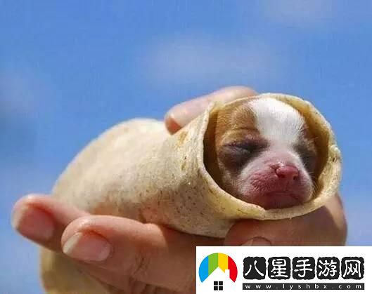 炎炎夏日再窮不能沒(méi)空調妹子驚嘆你連風(fēng)油精都不如