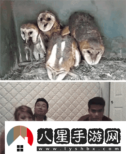 炎炎夏日再窮不能沒(méi)空調妹子驚嘆你連風(fēng)油精都不如