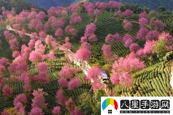大俠饒命無(wú)量山攻略