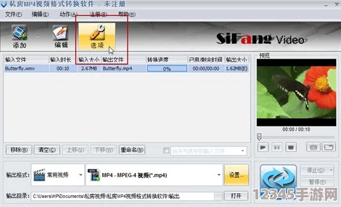 十八模軟件安裝，輕松獲取最新功能與使用技巧，提升你的工作效率和創(chuàng  )作靈感