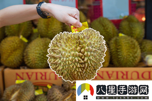 免費的行情軟件網(wǎng)站v1.78.11.免費行情軟件v1.78.1全新體驗輕松掌握市場(chǎng)動(dòng)態(tài)