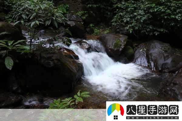 黃龍風(fēng)景區溪水潺潺的秘密