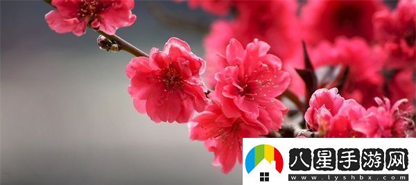 馮珊珊戶(hù)外任務(wù)大全