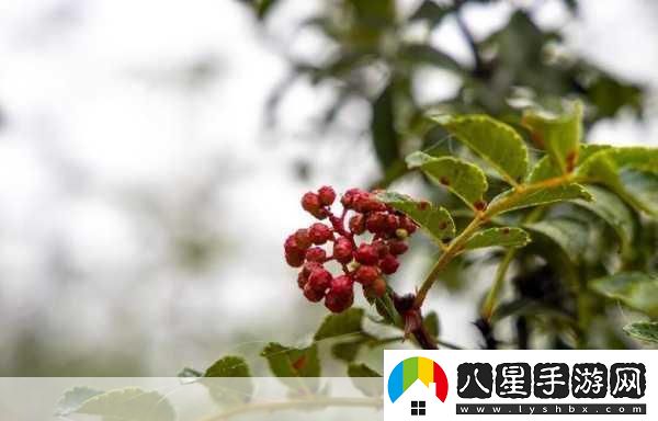 國精一二二產(chǎn)品無(wú)人區