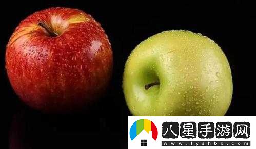 南方公園完整破碎中弗里曼通關(guān)攻略與挑戰實(shí)用技巧