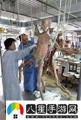 邊緣世界中關(guān)于尸體的獨特處理方式探究