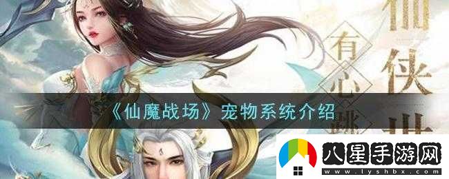 關(guān)于仙魔戰場(chǎng)寵物玩法的深度分析與探討
