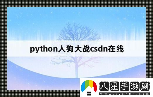編程奇觀(guān)