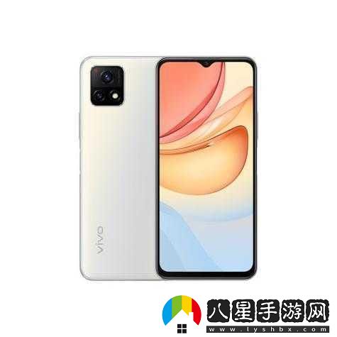 成色好的y31s標準版官