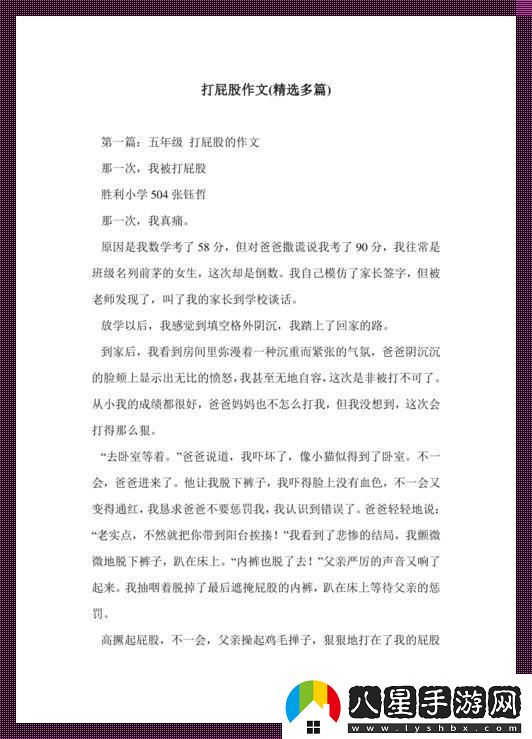挨皮帶抽創(chuàng  )意狂想曲