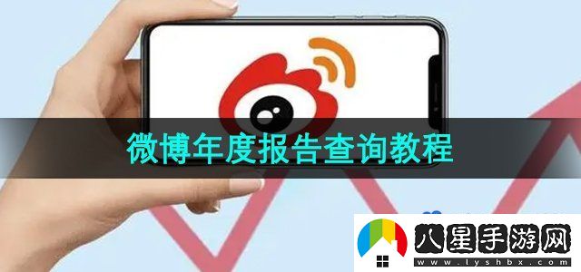 微博2023年度報告查詢(xún)教程
