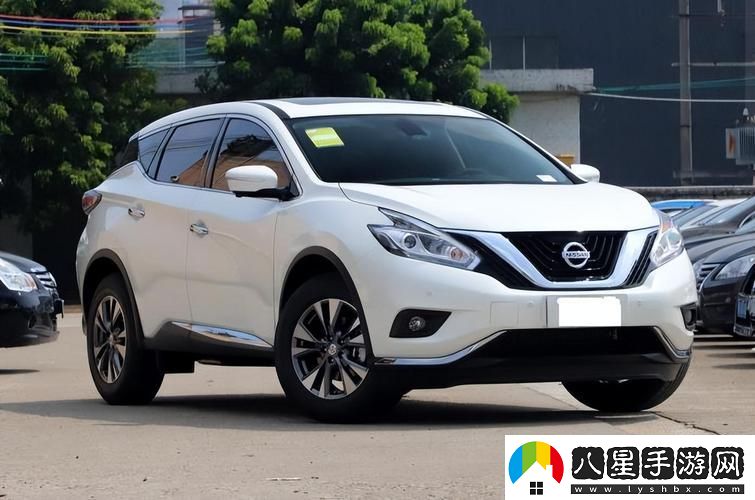 日產(chǎn)SUV狂熱者集結號