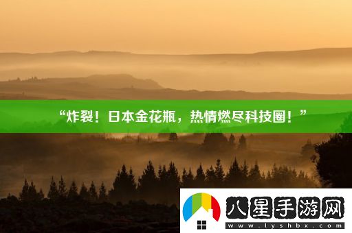 “炸裂！日本金花瓶