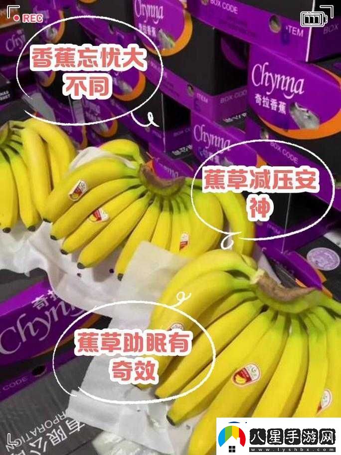 香蕉和忘憂(yōu)草的區別
