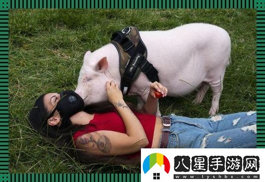 “豬流感”來(lái)襲科技界翻云覆雨手！