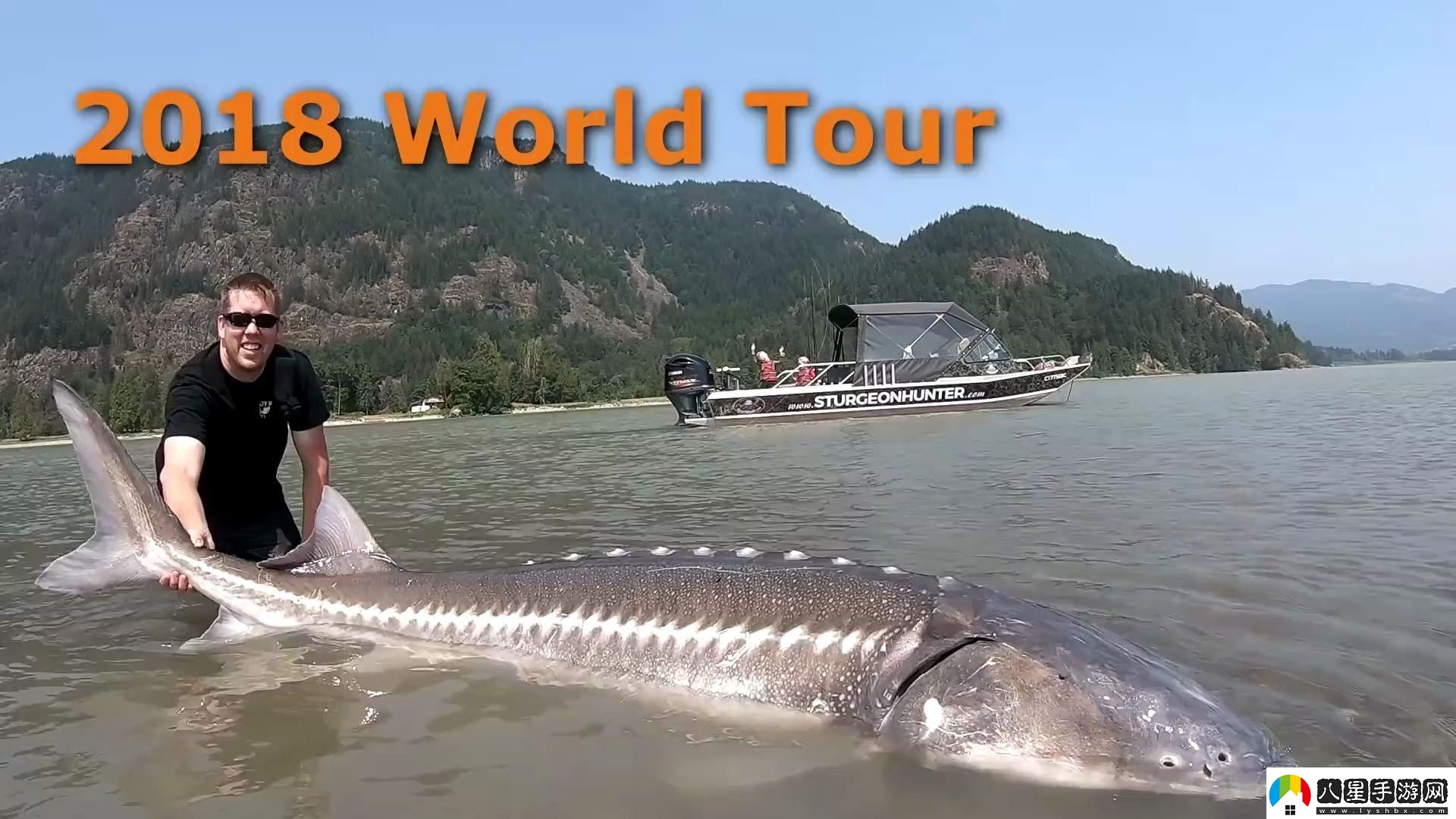 巨大擴大Fishing笑談科技狂潮中的那些小魚(yú)小蝦