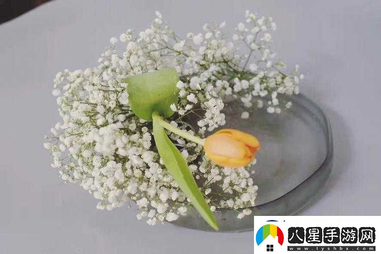藝術(shù)學(xué)院滿(mǎn)天星法版免費
