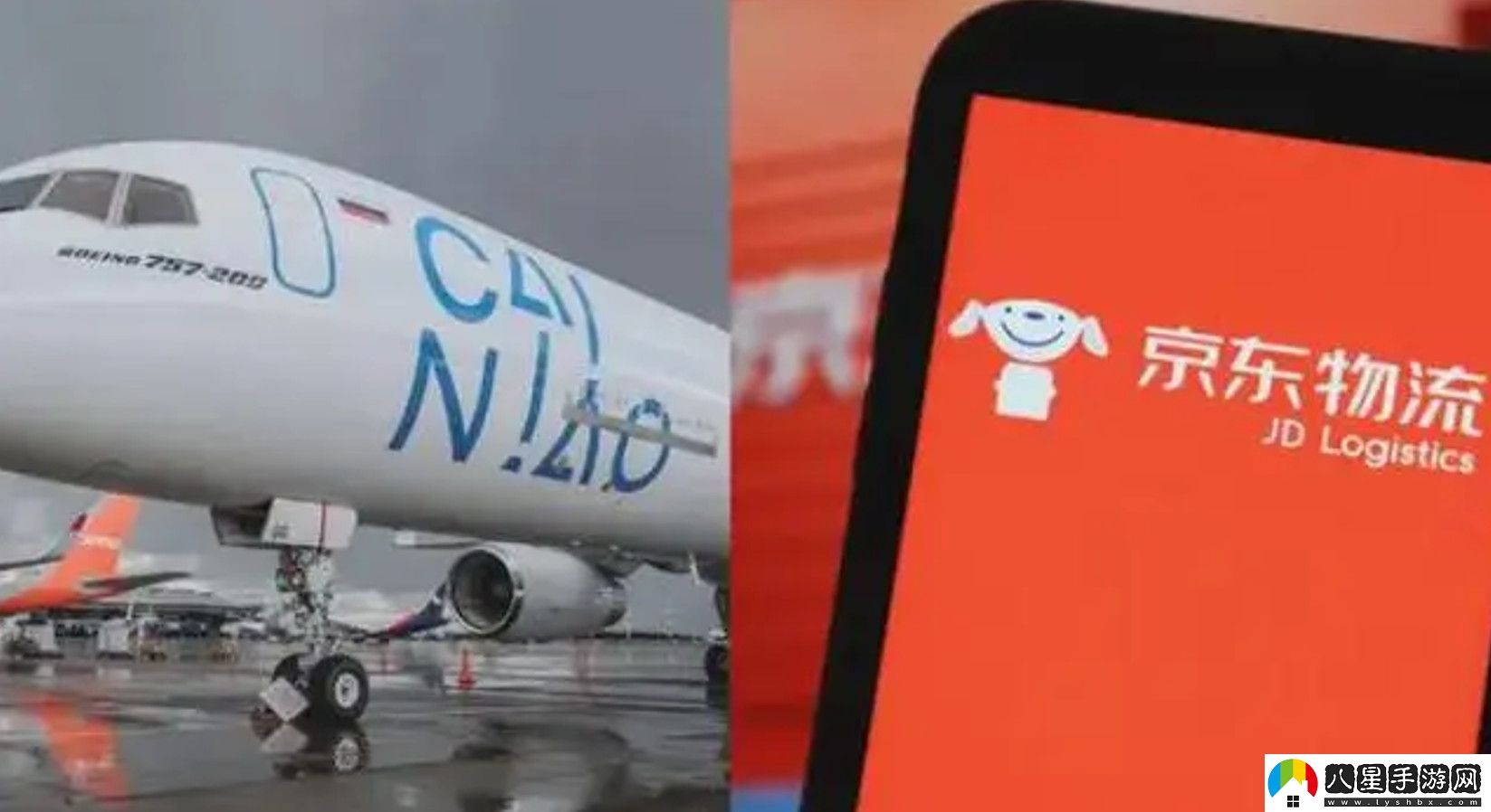 菜鳥(niǎo)
