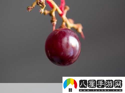 對著(zhù)鏡子把葡萄一粒粒