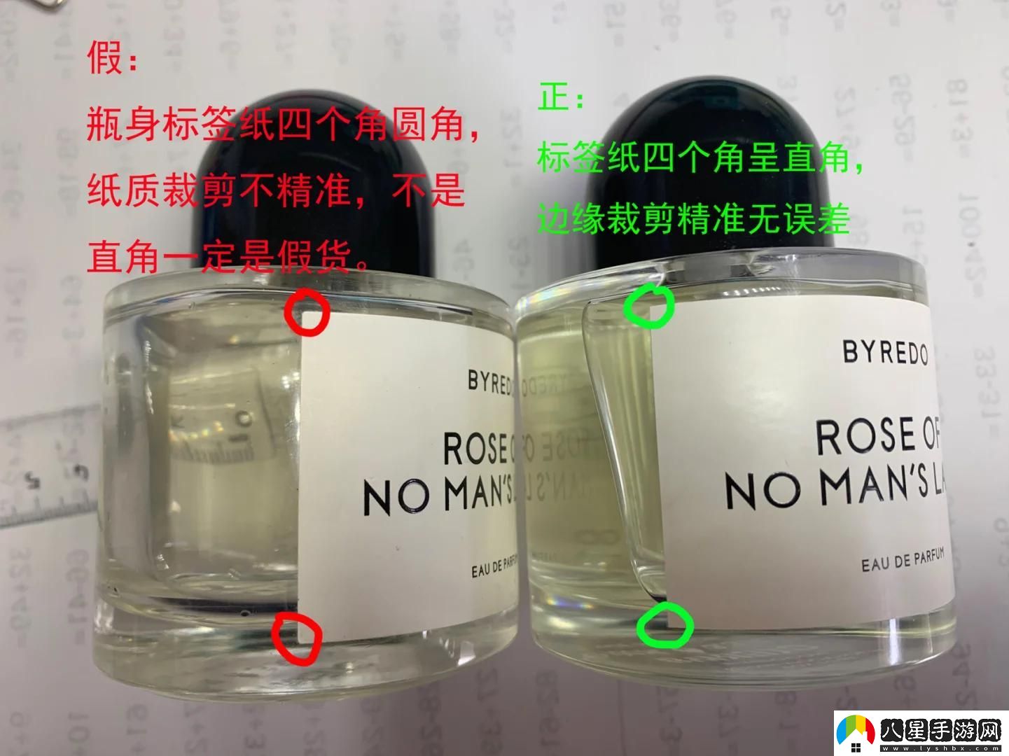新版老版無(wú)人區玫瑰