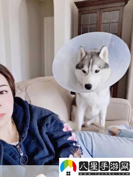歡樂(lè )消消消萌寵攻略解鎖哈士奇的奇妙之旅