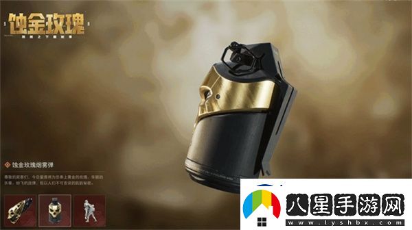 三角洲行動(dòng)蝕金玫瑰外觀(guān)介紹