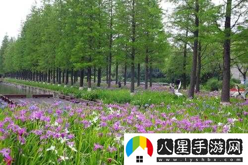 國精產(chǎn)品一區一區三區免費視頻