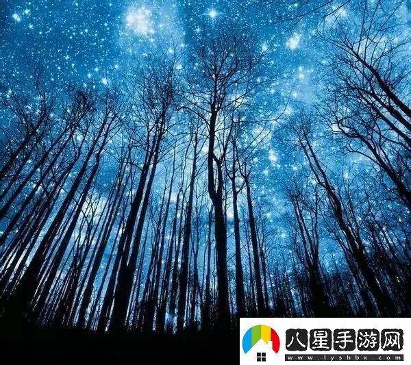探索手來(lái)到她的桃花源