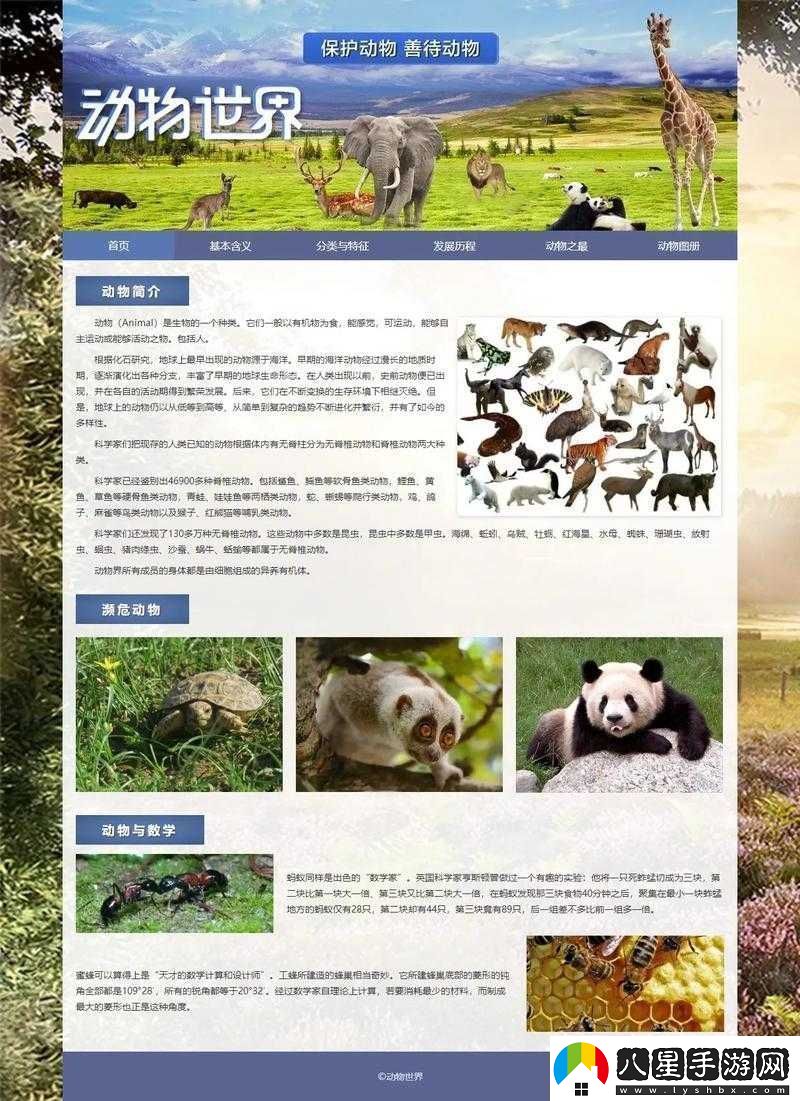 成品站入口頁(yè)版怎樣打開(kāi)之方法解析