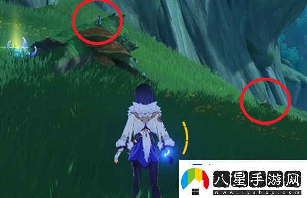 原神與珍稀之鳥(niǎo)的短暫邂逅任務(wù)完成技巧