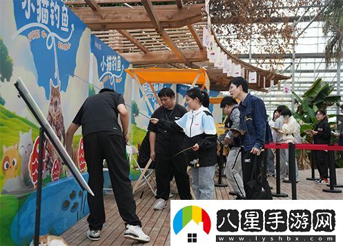 永恒之塔攜手玩家登陸“上海貓島”參與公益項目關(guān)愛(ài)社區流浪貓