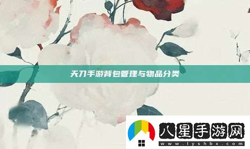 天刀手游背包管理與物品分類(lèi)