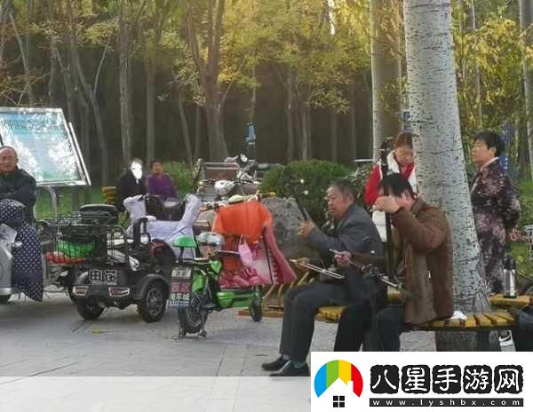 公園小樹(shù)中老年交易圖片1.＂公園小樹(shù)