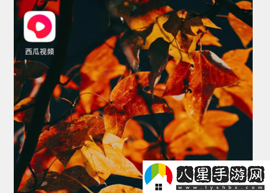 西瓜視頻最新網(wǎng)站-西瓜視頻網(wǎng)頁(yè)版