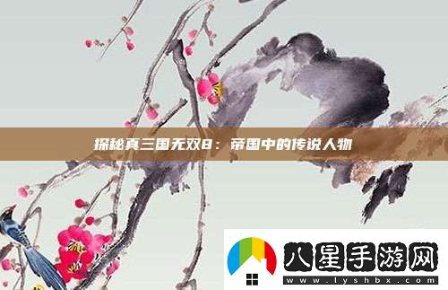 探秘真三國無(wú)雙8