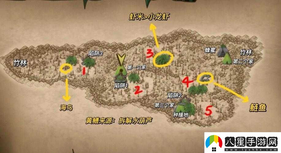 挨餓荒野泰國叢林陷阱攻略：高效擺放陷阱位置指南