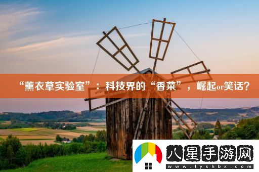 “薰衣草實(shí)驗室”