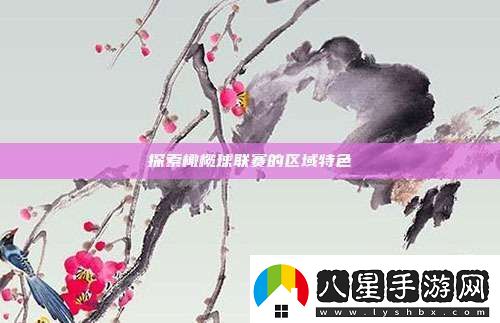 探索橄欖球聯(lián)賽的區域特色