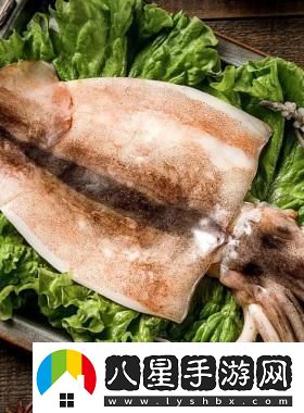 科技界的魷魚(yú)盛宴