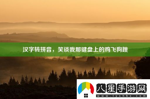 漢字轉拼音笑談我那鍵盤(pán)上的雞飛狗跳